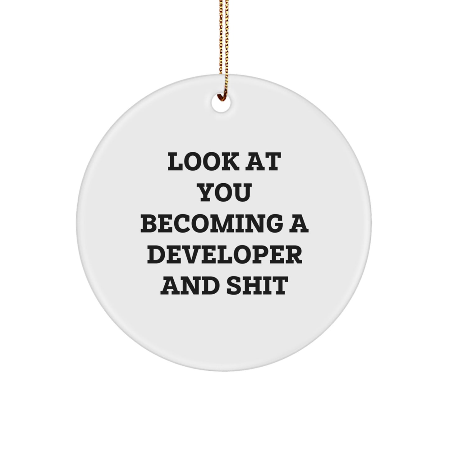 Funny Developer Gifts from Friends to Celebrate Becoming a Master Circle Ornament for Christmas - Image 1