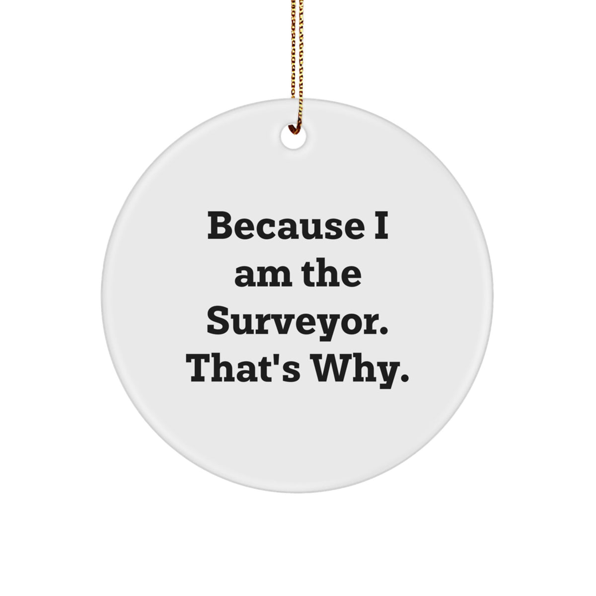 Christmas Gift for Her Surveyor Ornament Present - Image 1