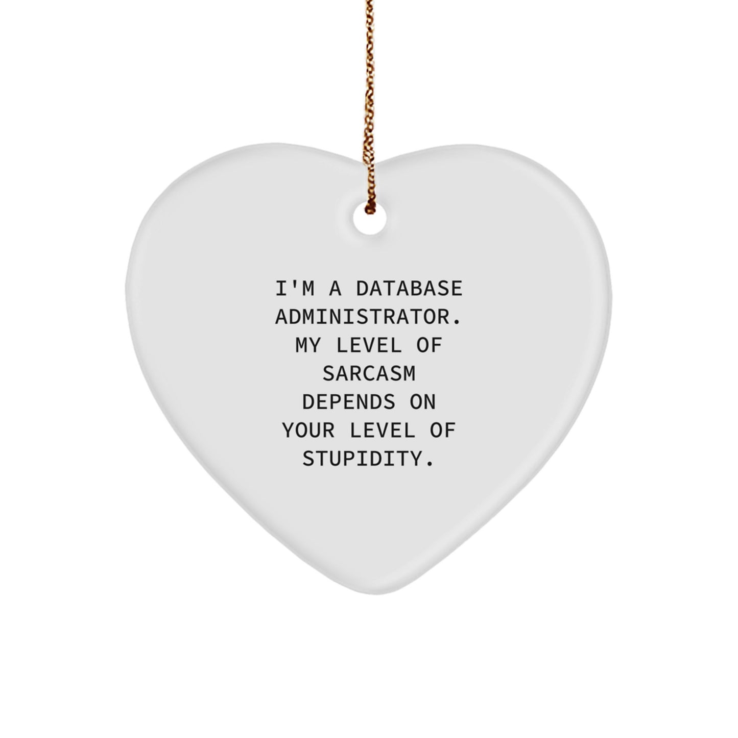 Funny Database Administrator Gifts, Heart Ornament with Sarcasm Quote, Gifts from Friends to Coworkers, Christmas Unique Gifts for Men - Image 1