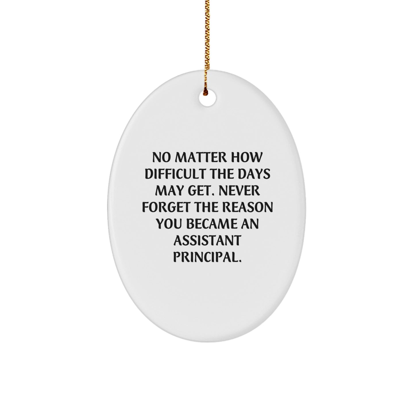 Funny Inspirational Assistant Principal Oval Ornament Gifts from Men to Assistant Principals for Christmas Unique Presents - Image 1