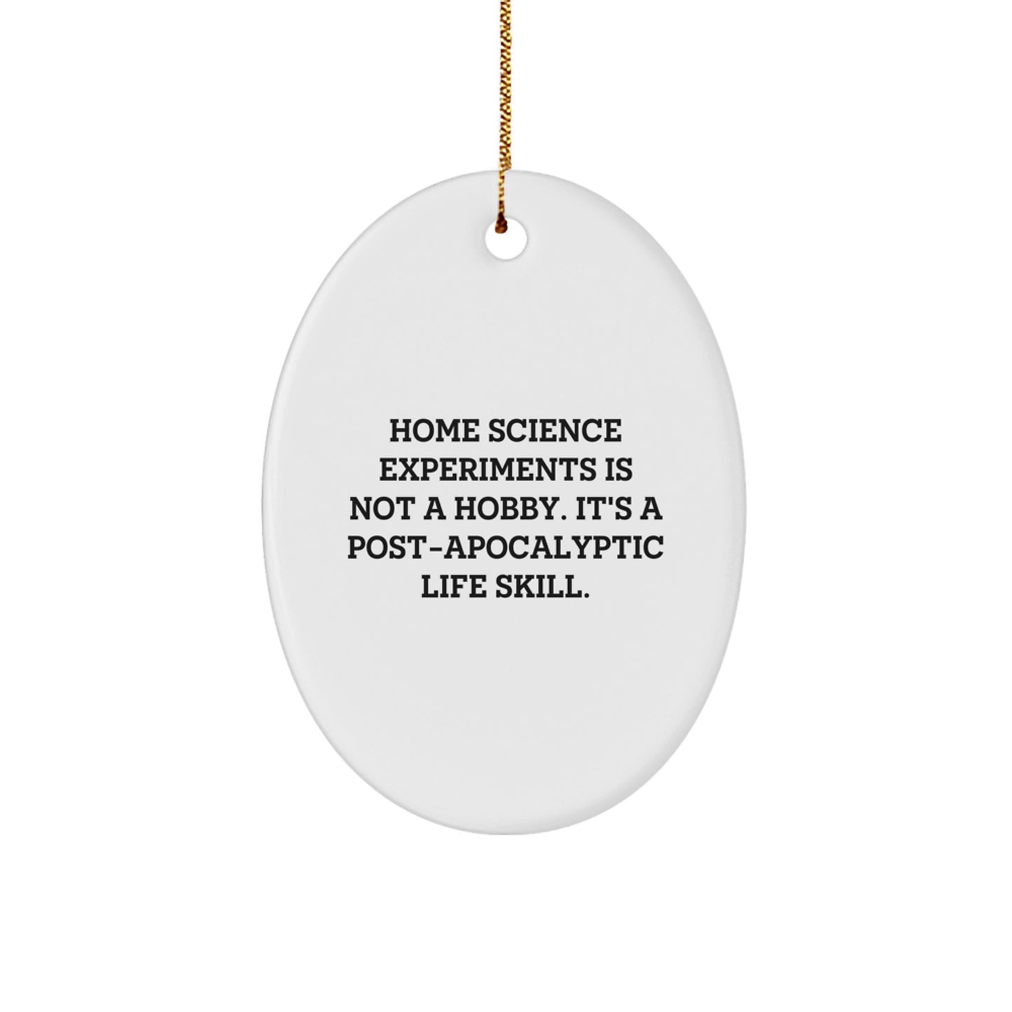 Funny Home Science Experiments Gifts from Men, Unique Christmas Unique Gifts for Home Science Enthusiasts, Oval Ornament Decoration - Image 1