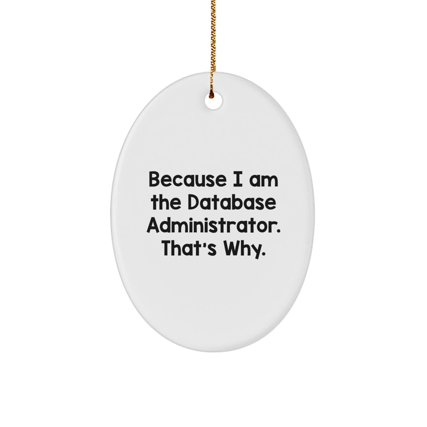 Favorite Database Administrator Oval Christmas Ornament for Kids Gift - Image 1