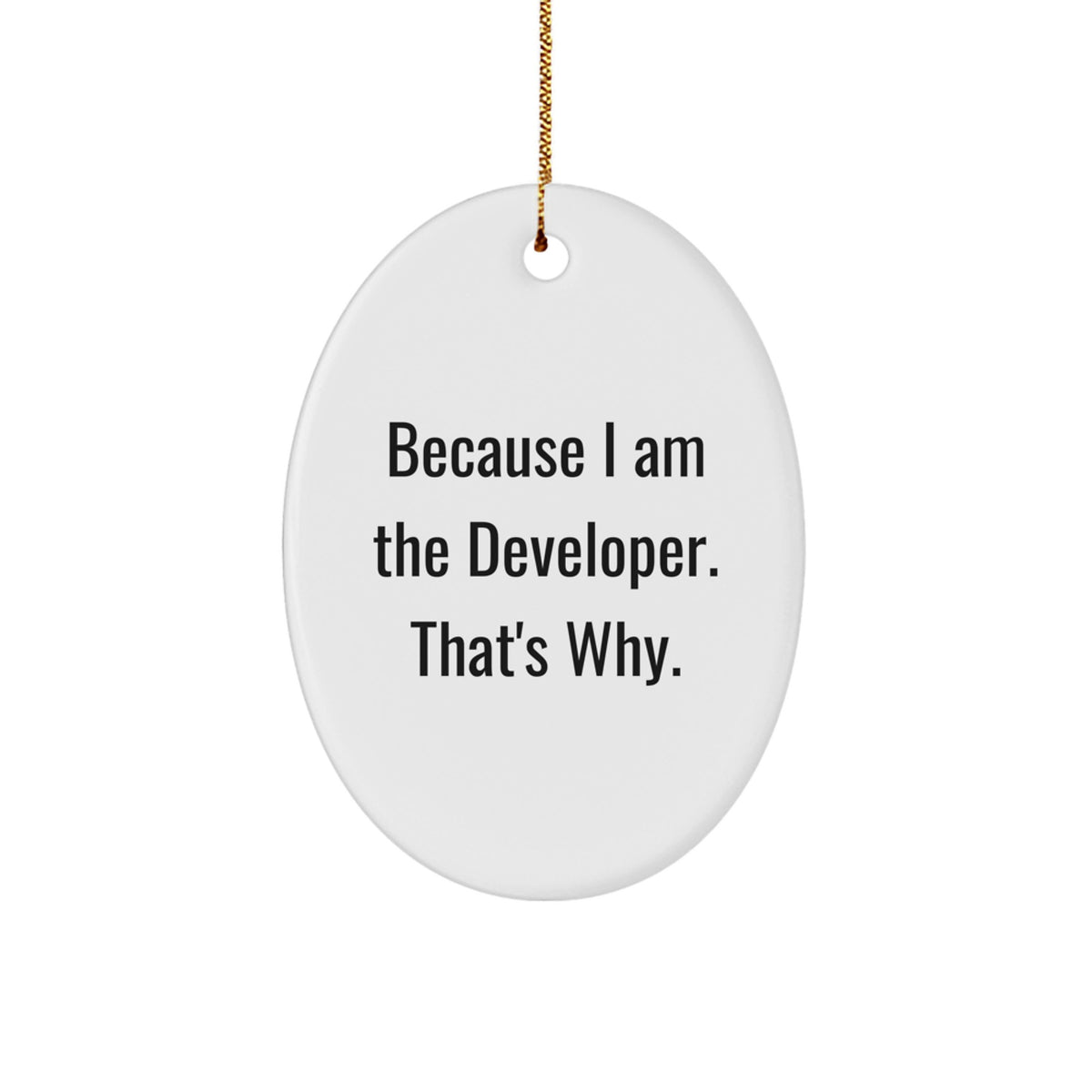 Because I Am The Developer Gifts from Family - Christmas Unique Oval Ornament for Developer Friends - Image 1