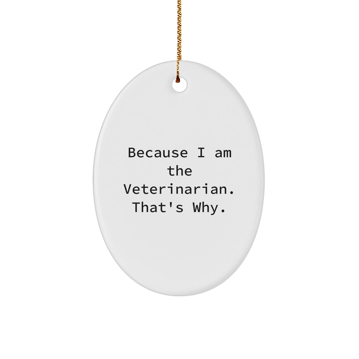 Veterinarian Keepsake Christmas Ornament for Him Holiday Gift - Image 1