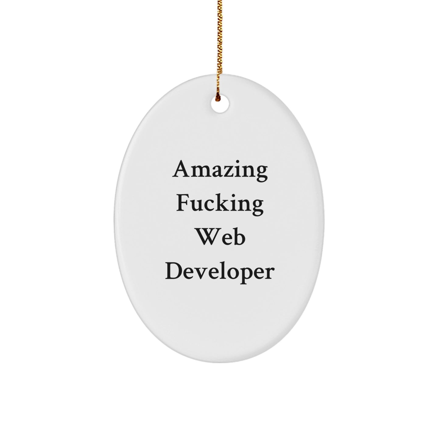 Funny Web Developer Oval Ornament Gifts from Men to Web Developer Friends and Coworkers for Christmas - Image 1