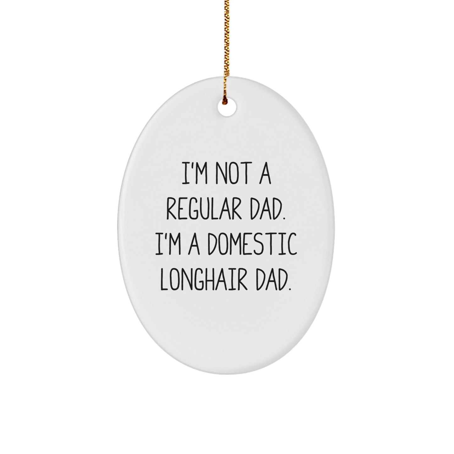 Funny Domestic Longhair Cat Gifts for Men, Unique Oval Ornament with I'm Not A Regular Dad Quote, Gifts from Husband - Image 1