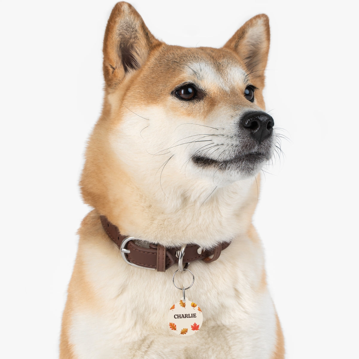 Personalized Fall Dog Tag – Autumn Leaves Custom Pet ID Tag