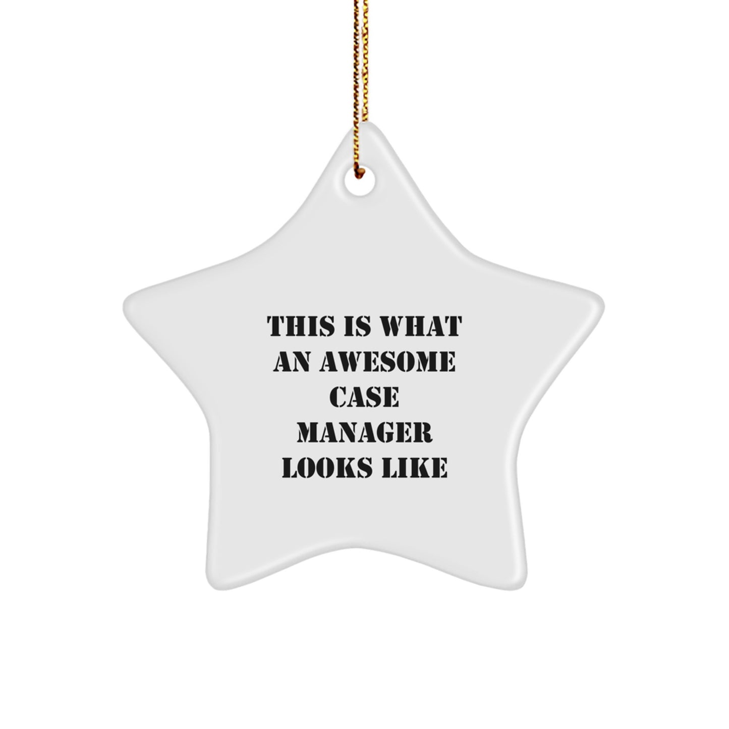 Case Manager Gifts from Family - This Is What An Awesome Star Ornament Looks Like for Christmas - Image 1