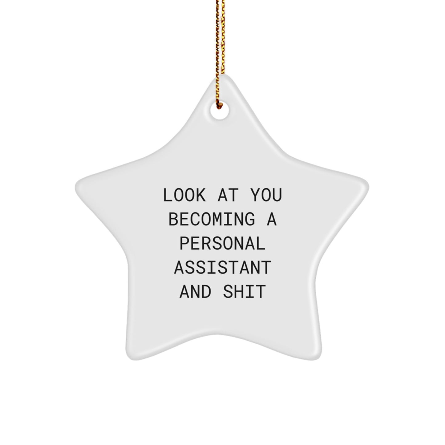 Funny Personal Assistant Gifts from Friends for Personal Assistants Christmas Unique Star Ornaments - Image 1