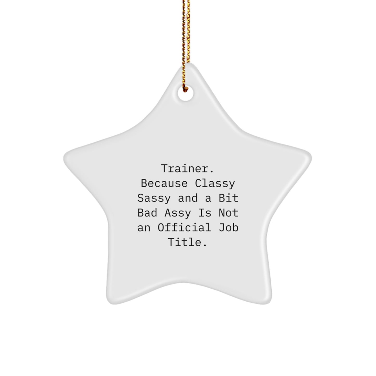 Funny Trainer Gifts from Friends with Sassy Star Ornament, Perfect for Trainer Men or Women on Christmas, Inspirational Quote - Image 1