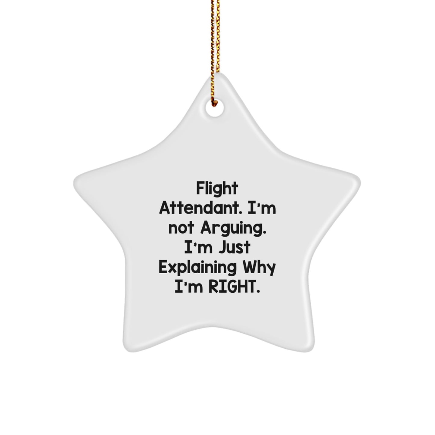 Funny Flight Attendant Gifts from Friends and Family - Inspirational Star Ornament, 'I'm Not Arguing, I'm Just Explaining Why I'm Right' Quote, Christmas Unique Gifts for Flight Attendants - Image 1