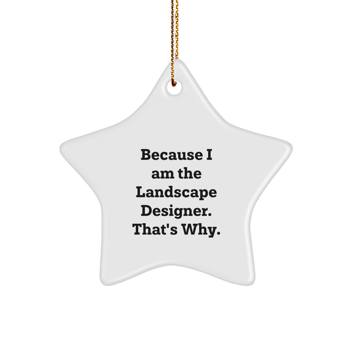 Funny Star Ornament for Landscape Designer Gifts from Friends, Unique Christmas Tree Decorations, Because I Am The Landscape Designer. That's Why. Star Shaped MDF Decor - Image 1