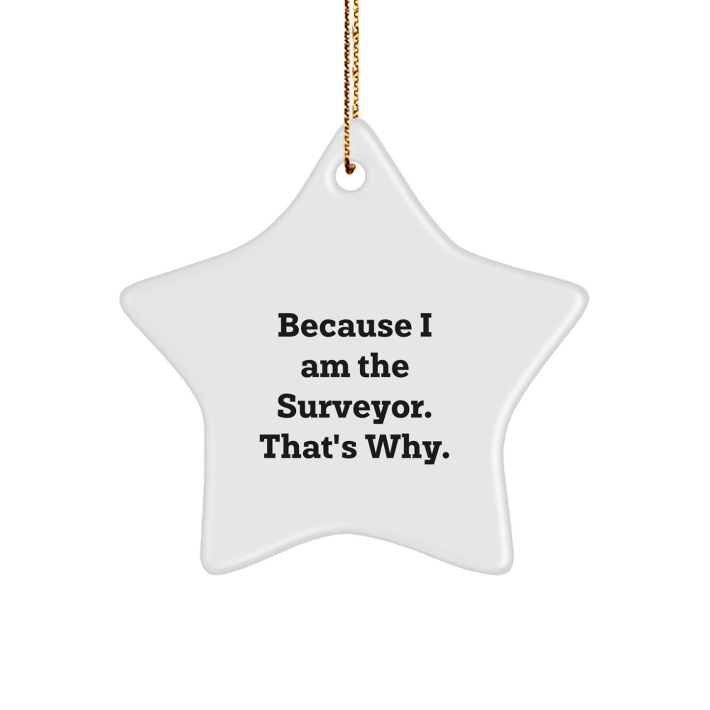 Christmas Gift for Her Surveyor Star Ornament Present Bright Keepsake - Image 1