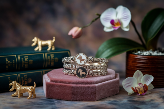 Cover image for Best Afghan Hound Dog Lover Gifts 2026