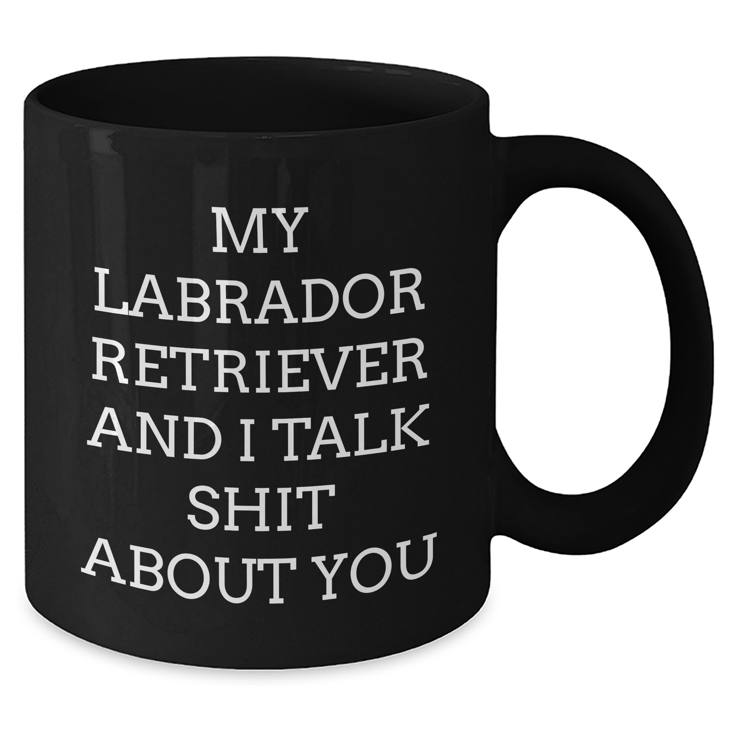 Funny Labrador Retriever Dog Gifts from Friends to Family, Black Coffee Mug for Men and Women, My Labrador Retriever And I Talk Shit About You Quote, Graduation Unique Gifts - Additional