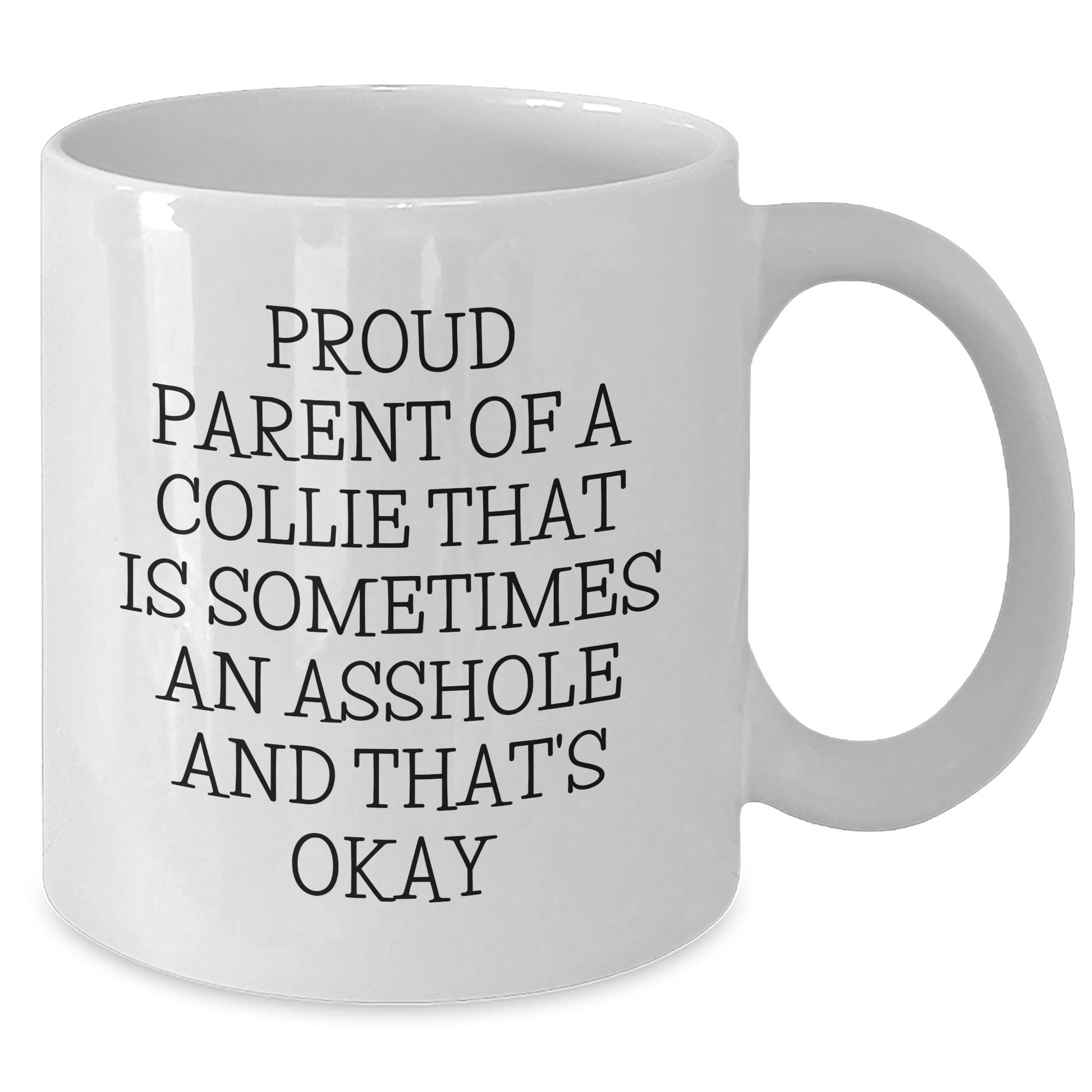 Funny Collie Dog Gifts, Proud Parent Quote on White Coffee Mug, Gifts from Mom for Collie Dog Owners, Graduation Unique Gifts for Her - Additional
