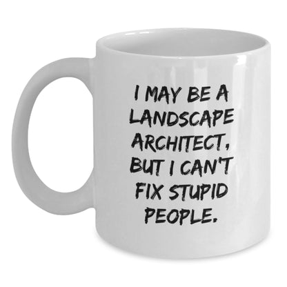 Funny Landscape Architect Gifts, I May Be A Landscape Architect, But I Can't Fix Stupid People. White Coffee Mug, Gifts from Friends to Landscape Architect, Unique Graduation Present - Main