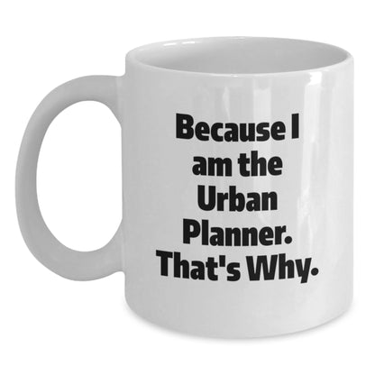 Funny Urban Planner Gifts from Friends for Urban Planner Unique Graduation Unique Gifts - Main