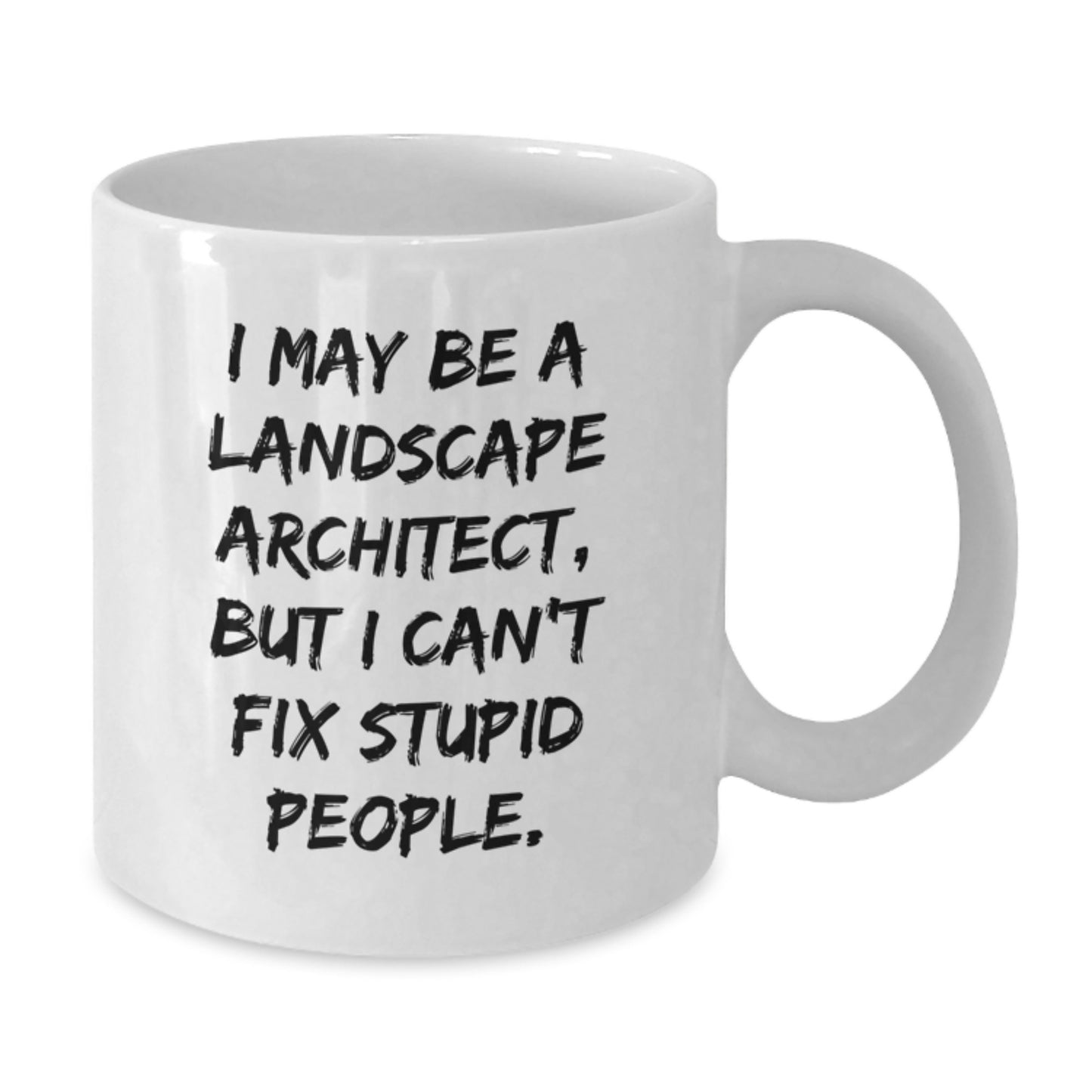 Funny Landscape Architect Gifts, I May Be A Landscape Architect, But I Can't Fix Stupid People. White Coffee Mug, Gifts from Friends to Landscape Architect, Unique Graduation Present - Additional