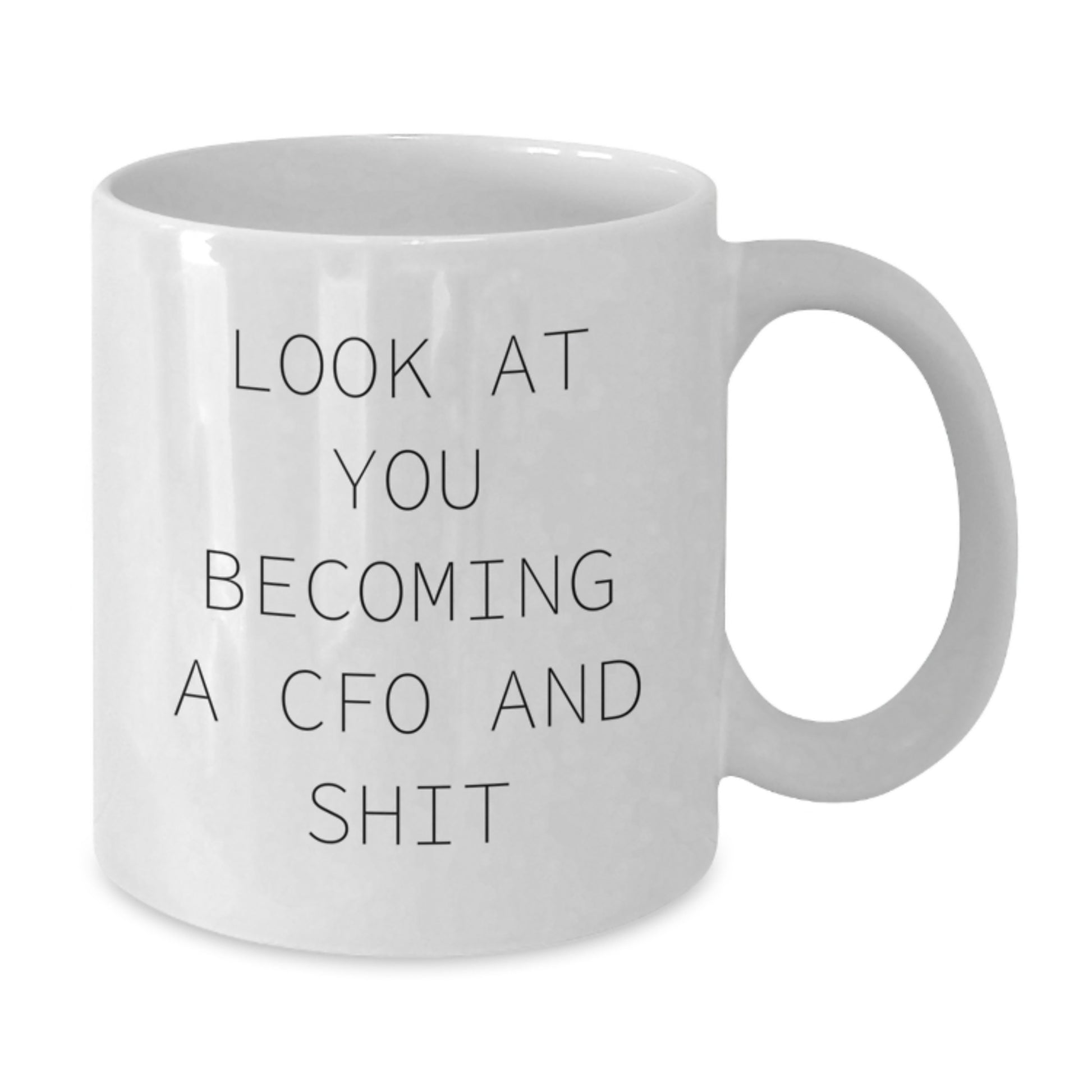 Funny CFO Gifts, Look At You Becoming A CFO And Shit, White Coffee Mug for Graduation, 11oz or 15oz, Ceramic, Gifts from Men to CFO, Unique Gifts for CFO, Funny Quotes for CFO - Additional