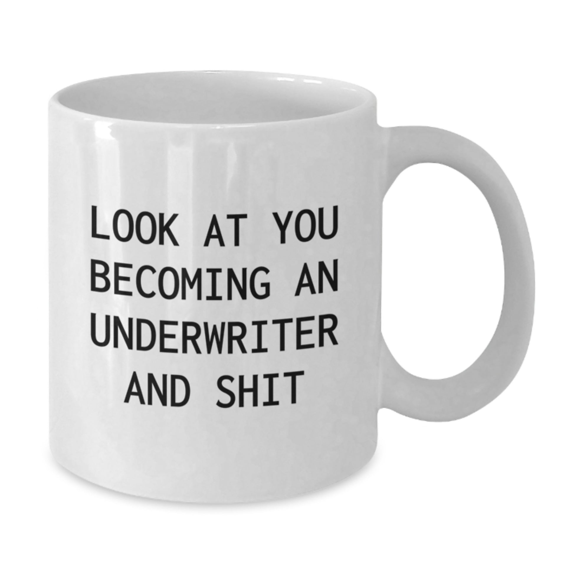 Funny Underwriter Gifts for Him or Her, White Coffee Mug with Look At You Becoming An Underwriter And Shit Quote, Unique Christmas Unique Gifts from Friends to Underwriter - Additional