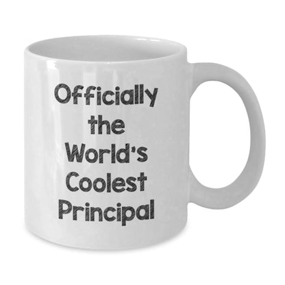 Funny Principal Quotes White Coffee Mug Gifts from Men to World's Coolest Principal on Mother's Day - Additional