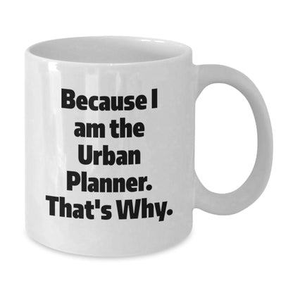 Funny Urban Planner Gifts from Friends for Urban Planner Unique Graduation Unique Gifts - Additional