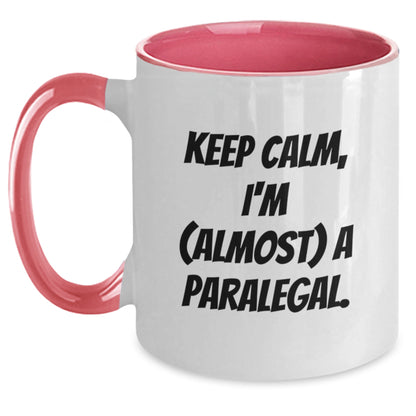Paralegal Keepsake Lighthearted Quote for Him - Christmas Gift - Main