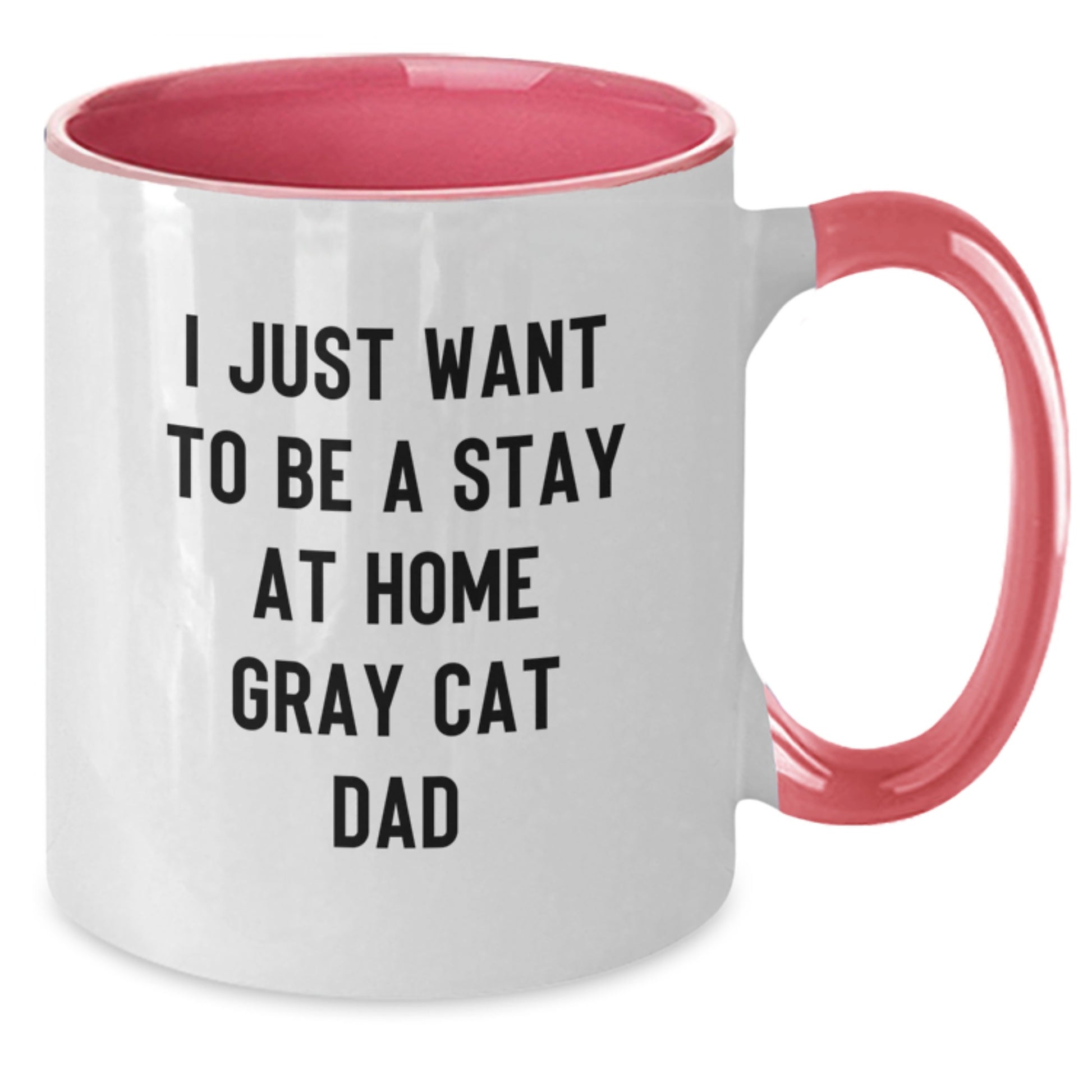Funny Gray Cat Gifts from Men to Stay At Home Dad - Valentine's Unique Two Tone Coffee Mug - Additional