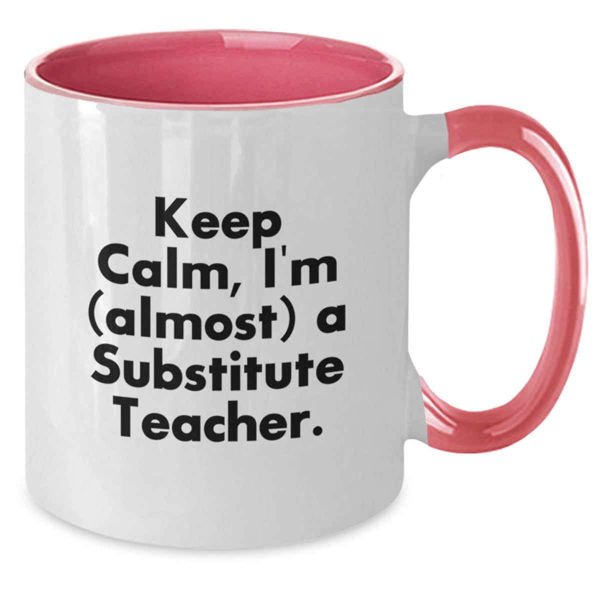 Christmas Gift for Her Humorous Present for Substitute Teacher - Additional