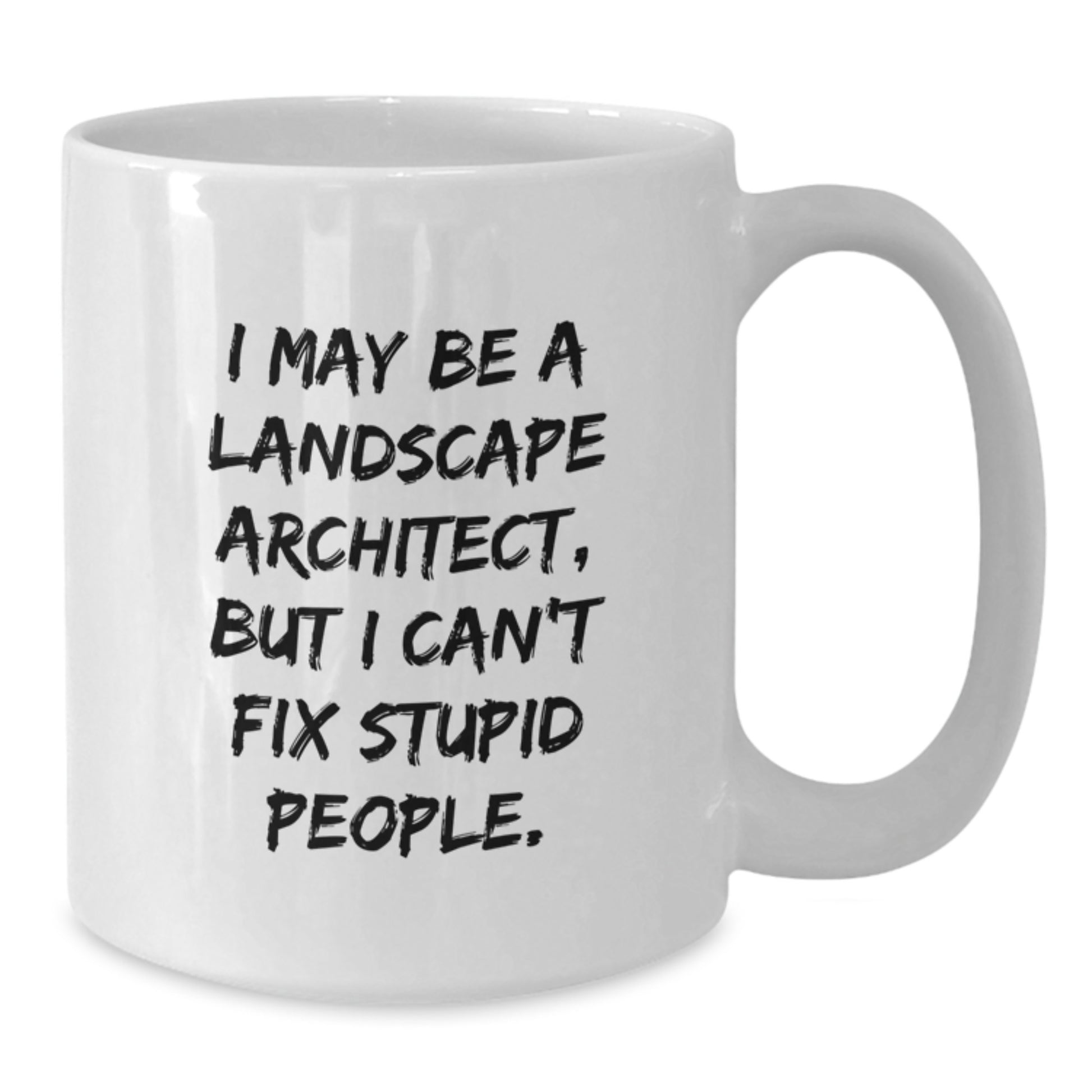 Funny Landscape Architect Gifts, I May Be A Landscape Architect, But I Can't Fix Stupid People. White Coffee Mug, Gifts from Friends to Landscape Architect, Unique Graduation Present - Additional