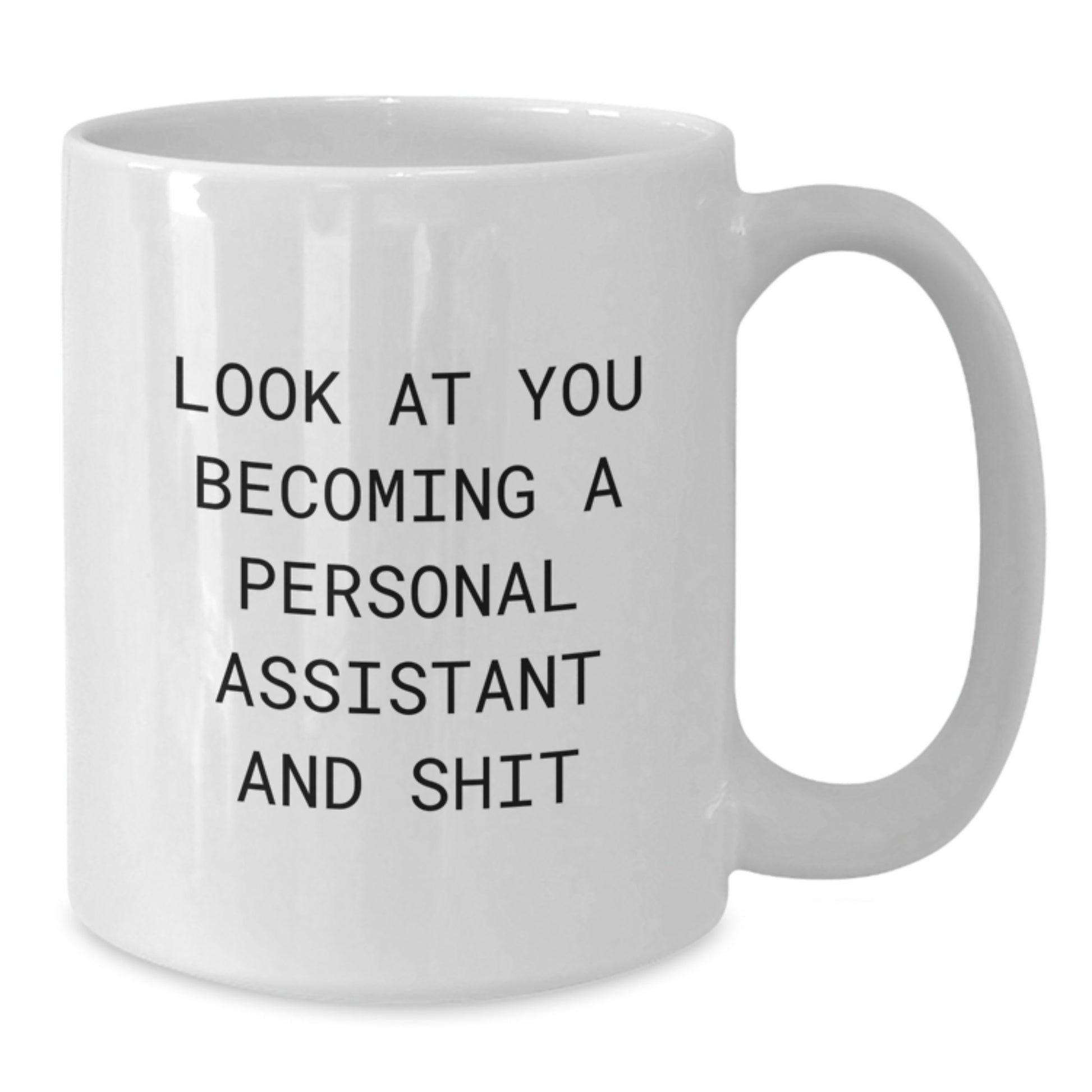 Funny Personal Assistant Gifts for Women or Men, White Coffee Mug, Christmas Unique Presents 'Look At You Becoming A Personal Assistant And Shit' - Additional