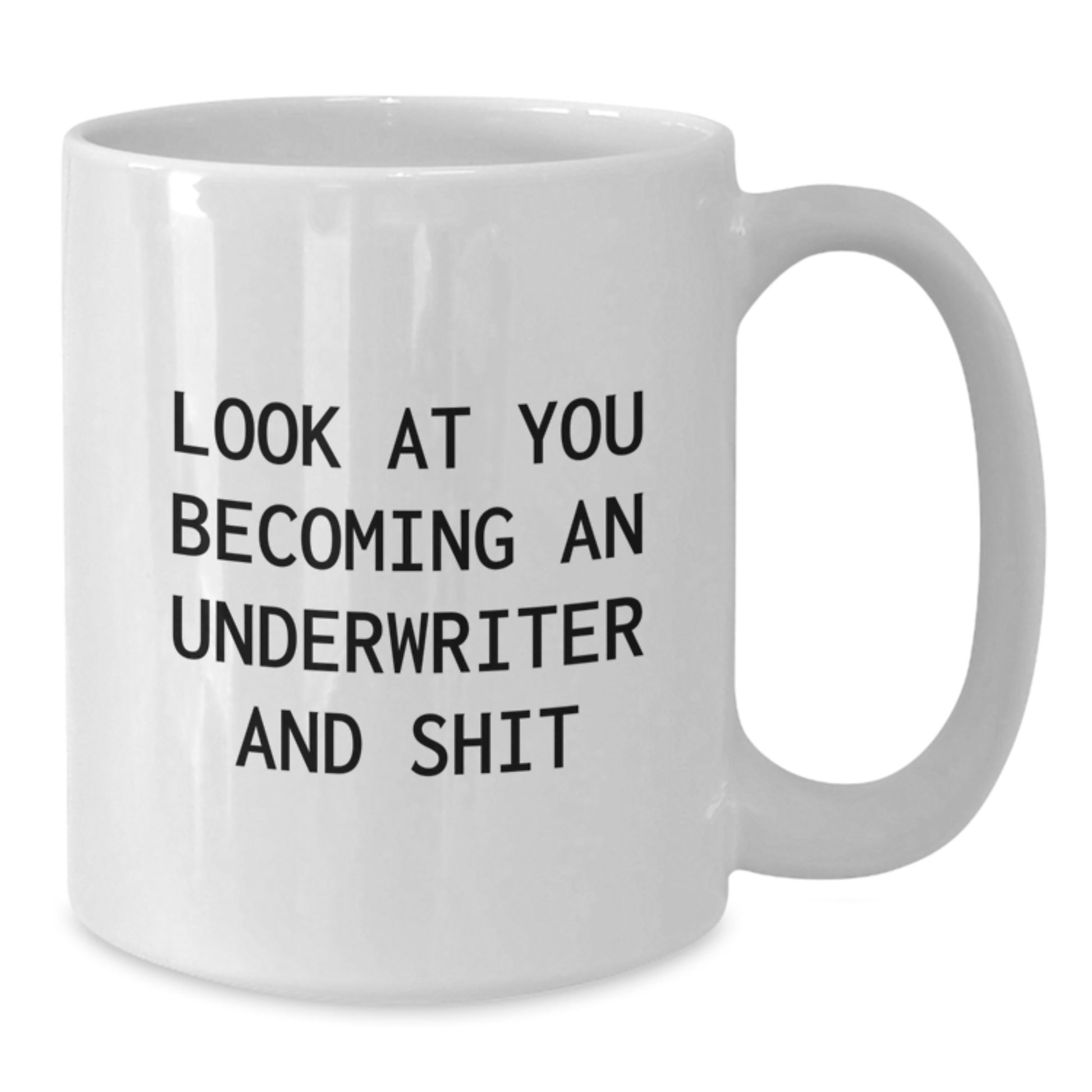 Funny Underwriter Gifts for Him or Her, White Coffee Mug with Look At You Becoming An Underwriter And Shit Quote, Unique Christmas Unique Gifts from Friends to Underwriter - Additional