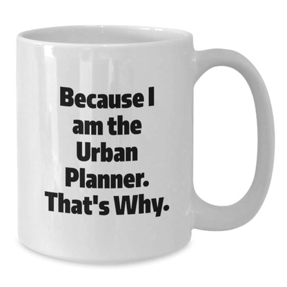 Funny Urban Planner Gifts from Friends for Urban Planner Unique Graduation Unique Gifts - Additional
