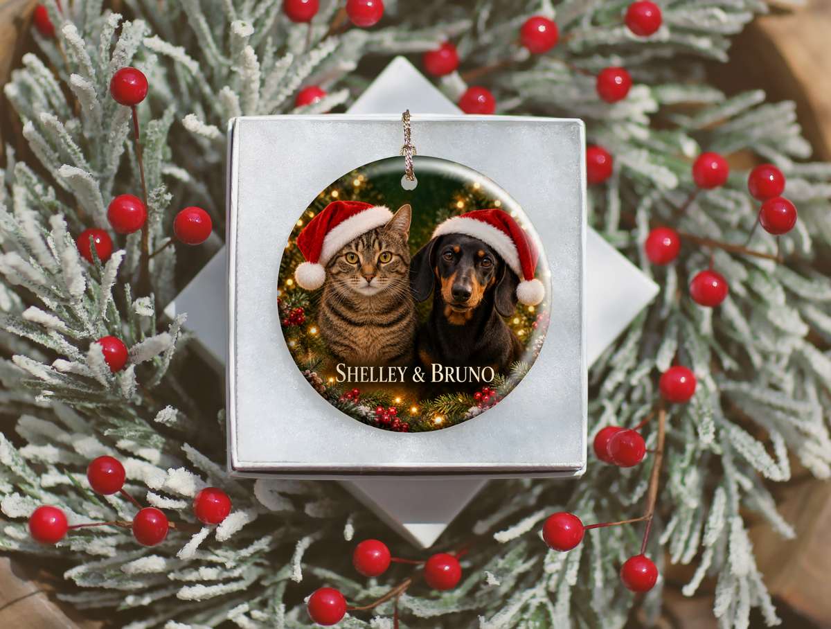 Personalized Dog & Cat Christmas Ornament – Two Pet Photo Portrait
