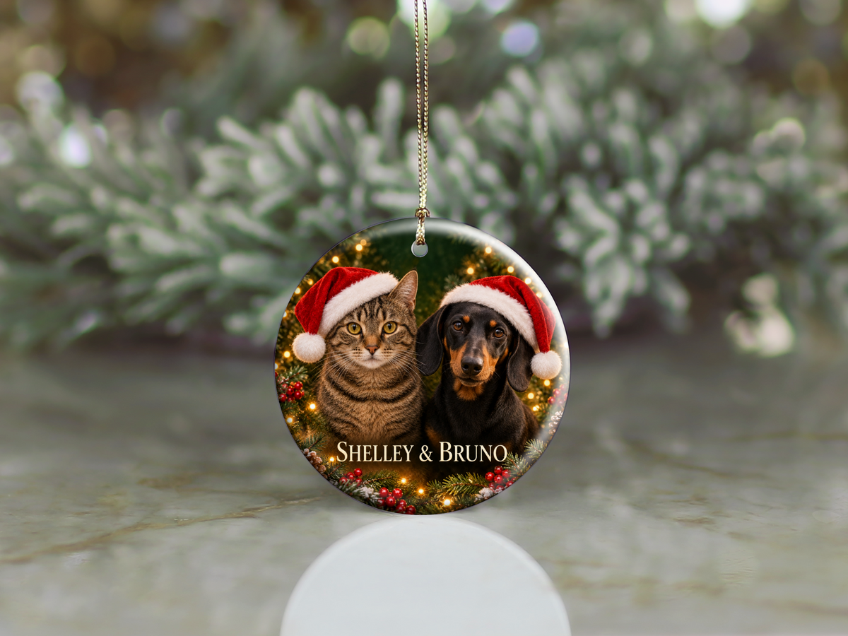 Personalized Dog & Cat Christmas Ornament – Two Pet Photo Portrait