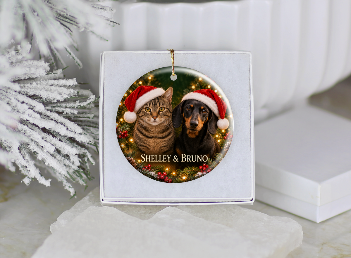 Personalized Dog & Cat Christmas Ornament – Two Pet Photo Portrait