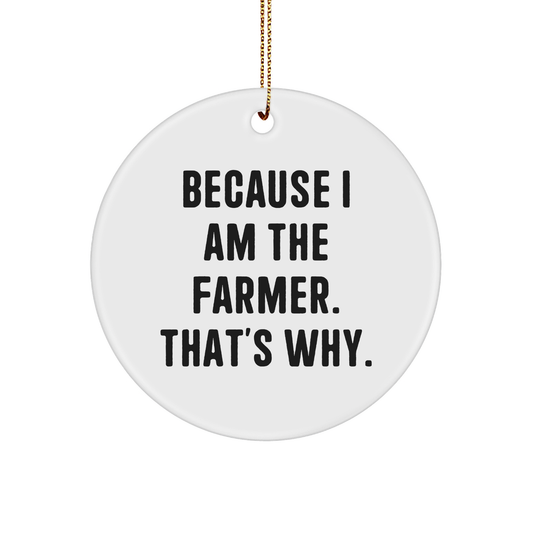Funny Farmer Gifts for Him Her Because I Am The Farmer That's Why Christmas Ornaments Farmhouse Decor Inspirational Quotes - Image 1