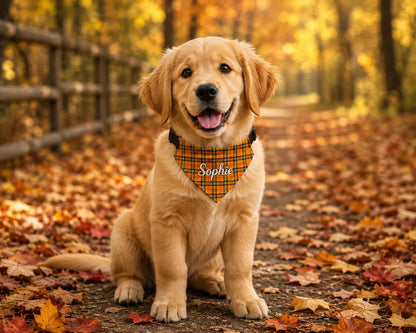 Personalized Fall Plaid Dog Bandana with Name – Clip-On Collar
