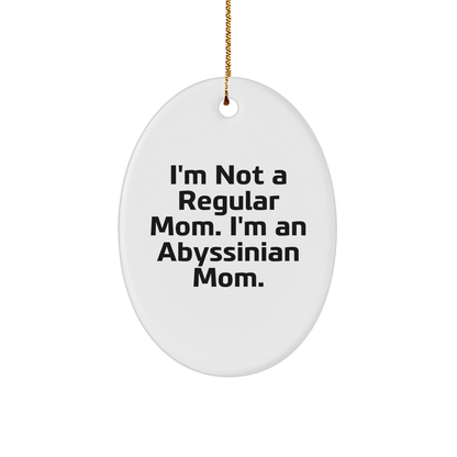 Abyssinian Cat Mom Oval Ornament Gifts from Friends to Family Christmas Unique - Image 1