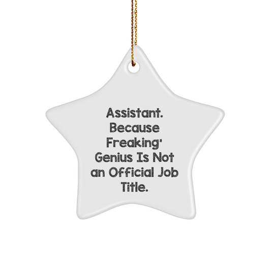 Funny Assistant Quotes Star Ornament Gifts from Friends to Assistants, Men, or Women, Perfect for Christmas - Image 1