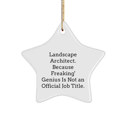 Landscape Architect Star Ornament Gifts from Men for Christmas 'Because Freaking' genius Is Not An Official Job Title.' - Image 1