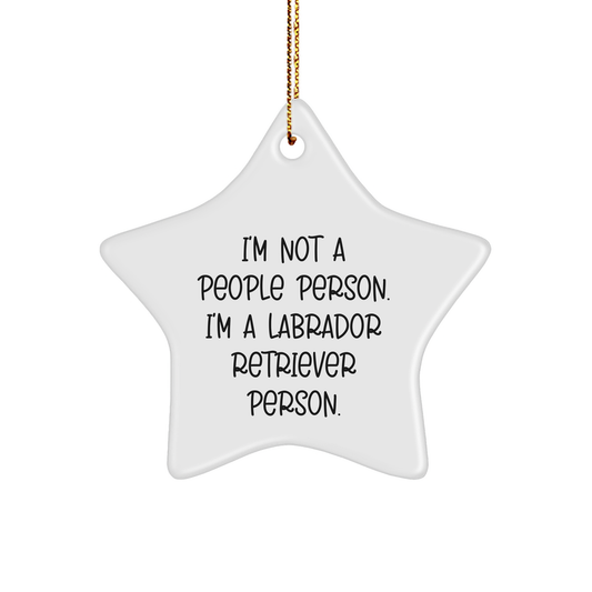 Labrador Retriever Dog Star Ornament Gifts from Men to Friends for Christmas Unique - Image 1