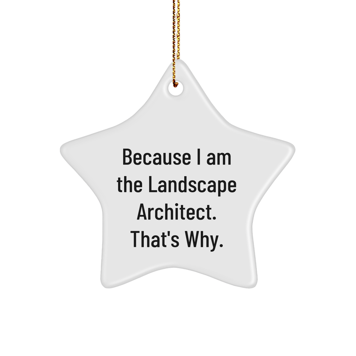 Because I Am The Landscape Architect, That's Why! - Star Ornament for Christmas Unique Gifts for Landscape Architects, Gifts from Men to Women, Friends and Family - Image 1