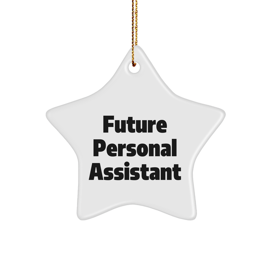 Future Personal Assistant Star Ornament, Funny Quote, Christmas Unique Gift, Personal Assistant Gifts, Gifts from Friends, Gifts for Personal Assistant, Star Ornament, (150-200 characters) - Image 1