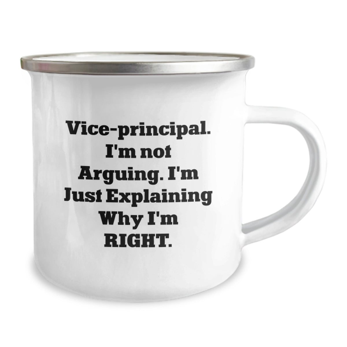 Funny Vice-principal Gifts for Men - Vice-principal I'm Not Arguing Camping Mug, Christmas Unique Gifts from Friends, 12 oz Stainless Steel Enamel Finish - Image 2