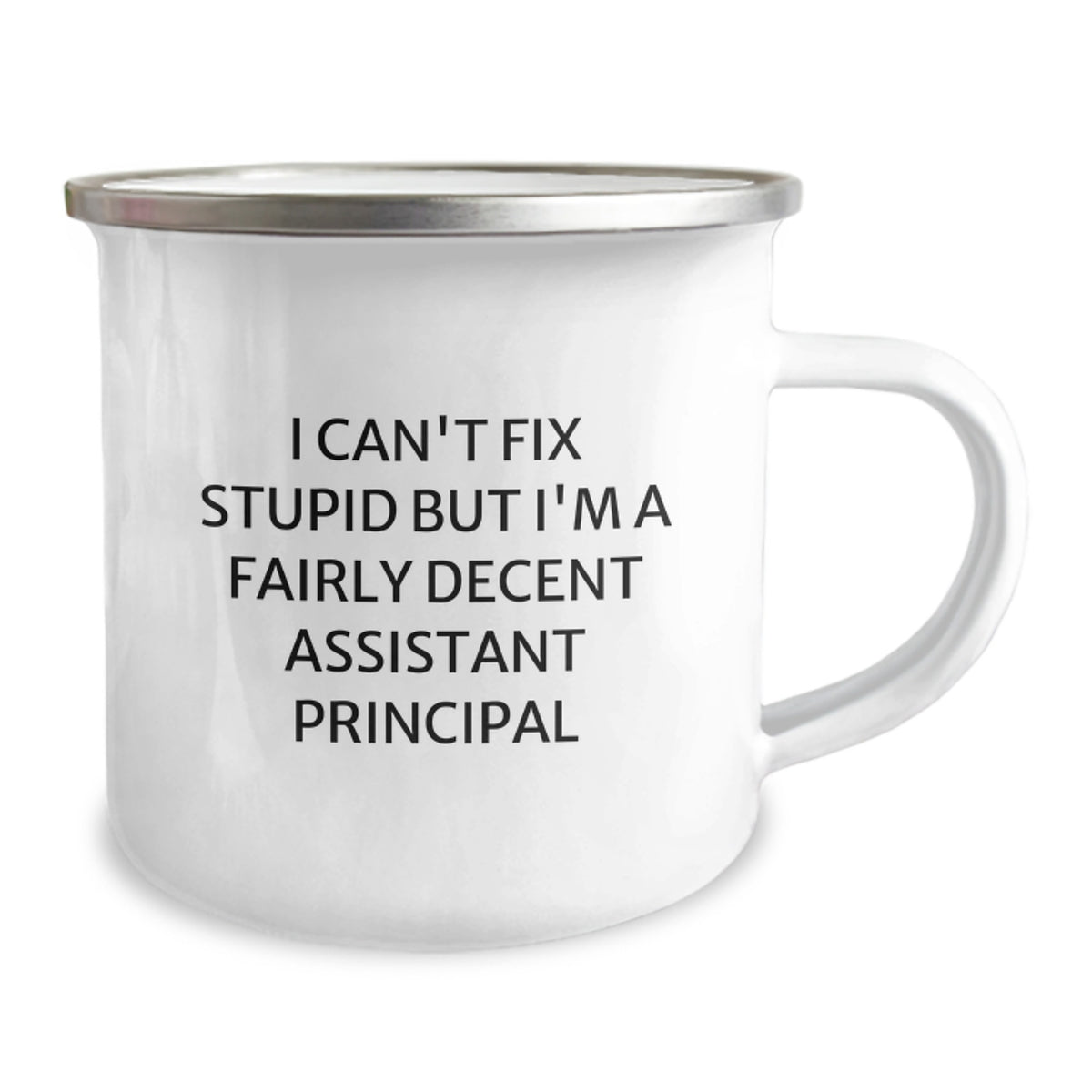 Funny Assistant Principal Gifts for Men - I'm A Fairly Decent Birthday Unique Presents from Family and Friends - Camping Mug for Assistant Principals - Image 2