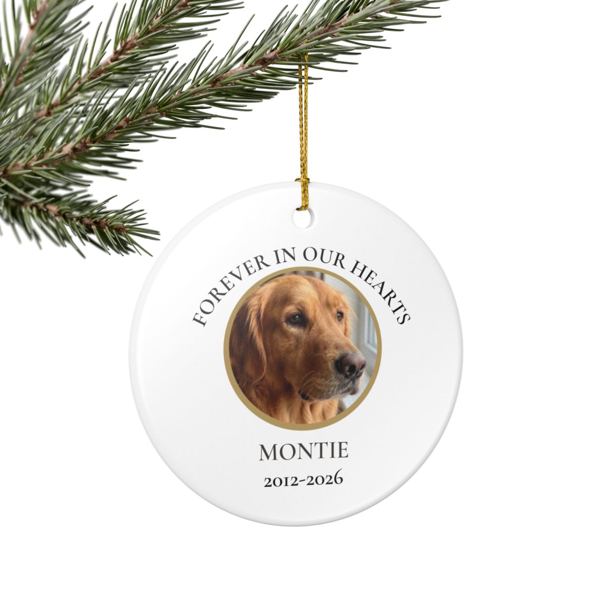 Personalized Pet Photo Memorial Ornament – Forever in Our Hearts