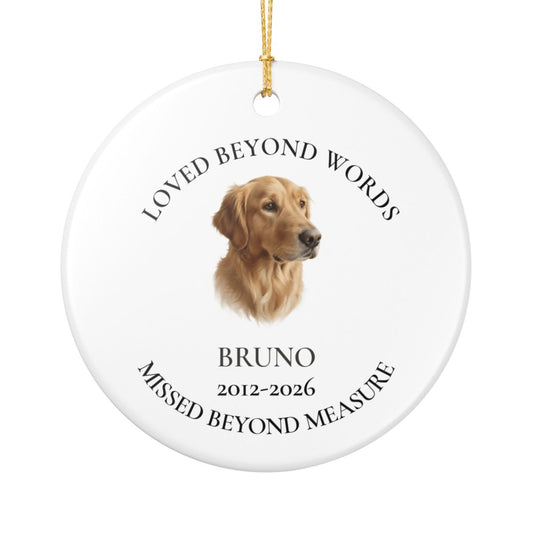 Personalized Painted Pet Memorial Ornament – Loved Beyond Words