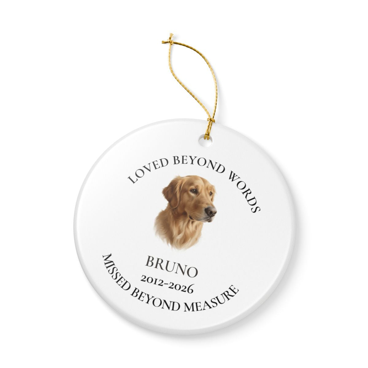 Personalized Painted Pet Memorial Ornament – Loved Beyond Words